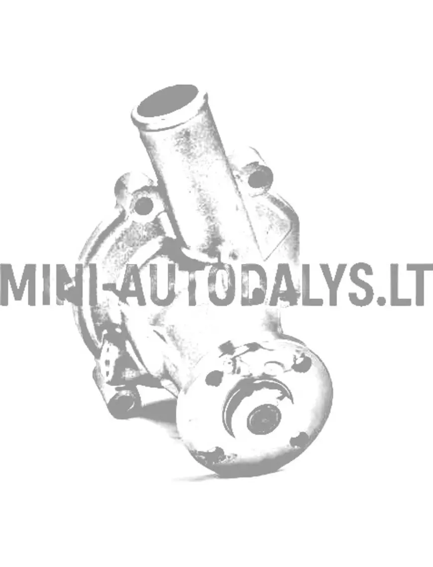 Vandens siurblys Casalini Mitsubishi