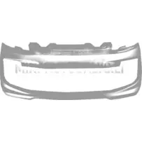 Priekinis bamperis Ligier JS50 / JS50L Ph2 / Ph3