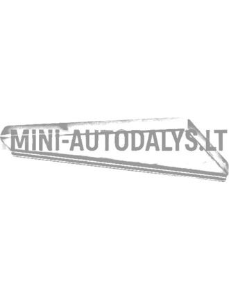Galinio bamperio atrama Ligier JS50 / JS50L Sport ph2 / ph3