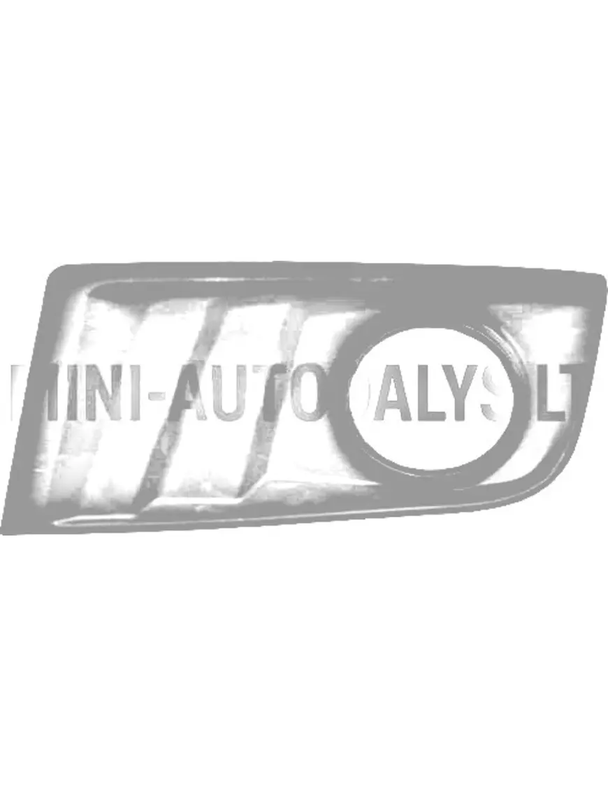 Priekinio bamperio grotelės Ligier X-Too R / S / RS