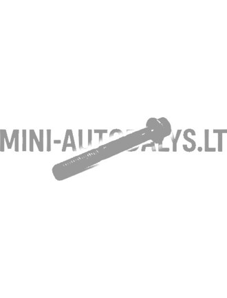 Cilindro galvutės varžtas Aixam Kubota Z402 / Z482