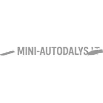 Galinio bamperio dangtelis Microcar M8