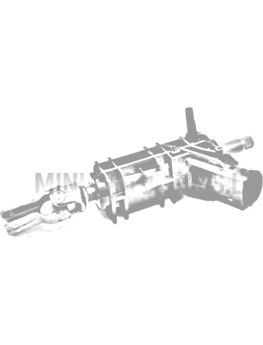 Vairo kolonėlė Ligier / Microcar