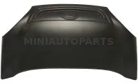 Mikroautobuso dangtis MGO1