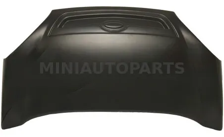 Mikroautobuso dangtis MGO1