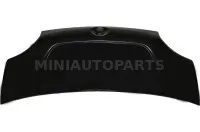 Mikroautobuso dangtis 1