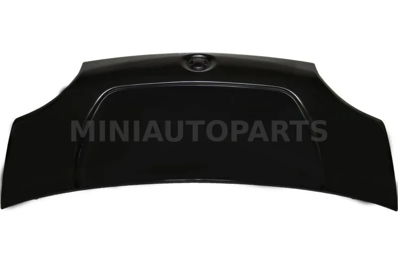 Mikroautobuso dangtis 1