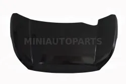 Kapotas Ligier JS50/JS50L Ph2/Ph3 (nedažytas)