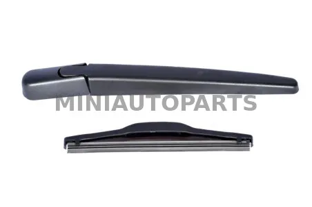 Galinis lango valytuvas aixam / ligier Microcar M.GO / M8