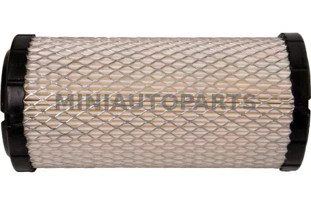 Lombardini cilindrinis oro filtras Ligier JS50 / IXO / X-Too R / JSRC