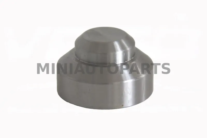 Variklio pusės variatoriaus svarelis  - 170 gr. Aixam 400 / 500 / 721 / 741 / City / Crossline / GTO / Scouty