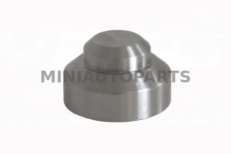 Variklio pusės variatoriaus svarelis  - 170 gr. Aixam 400 / 500 / 721 / 741 / City / Crossline / GTO / Scouty