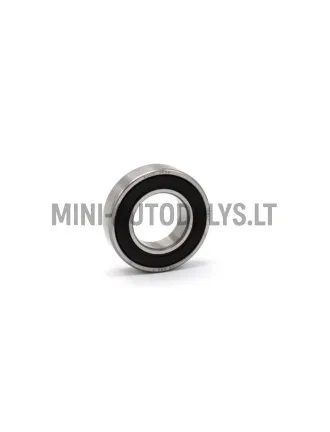 Galinio rato guolis 6005 SKF