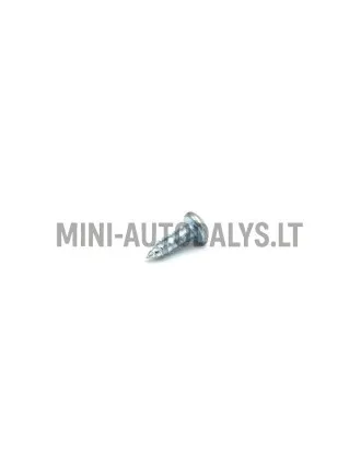 Aušinimo ventiliatoriaus tvirtinimo varžtas - radiatorius Ligier / Microcar / JDM / Bellier
