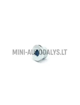 Lombardini alyvos išleidimo kamštis