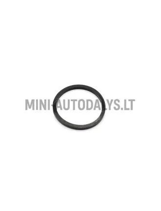Dulkių žiedas stabdžių suportas stūmoklis priekyje Microcar / Ligier