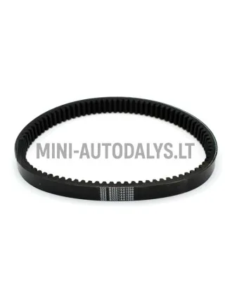 Pavaros diržas 022 ECO Aixam B1211AA1096