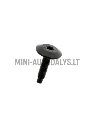 Montavimo varžtas M6x25 Ligier / Microcar / Due