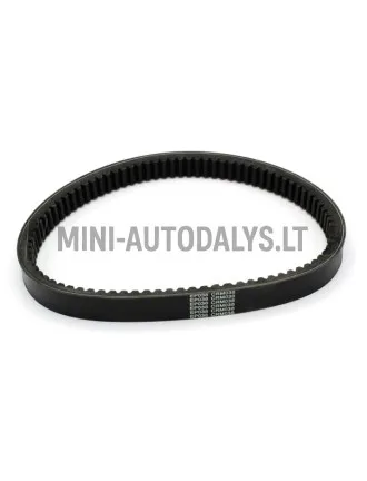 Pavaros diržas 038 ECO Aixam B3211AA1103
