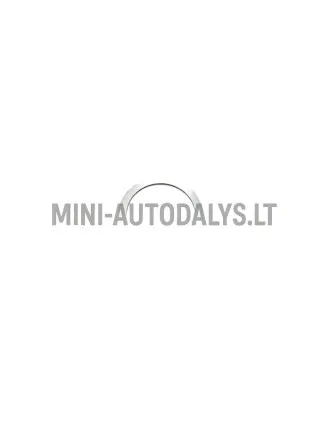 Tarpinė tarpinė tarpinė variomatiniam varikliui (0,6 mm)