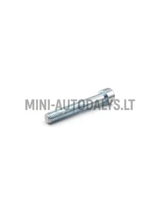Stabdžių suportų varžtas Ligier M10x60