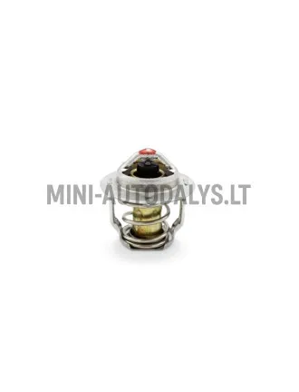 Termostatas Yanmar