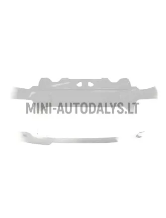 Priekinis bamperis Ligier JS50/JS50L Sport Ph2/Ph3