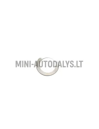 Žiedo praėjimo lizdas motovario