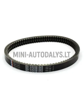 Pavaros diržas EPCOUR043 BD52-2183