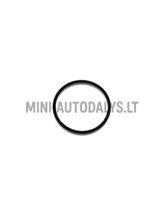 Įsiurbimo kolektoriaus tarpiklis Lombardini 442 / 480 / 492 DCI