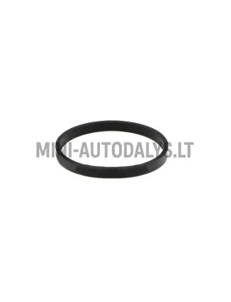 Termostato tarpiklis Lombardini 442 / 480 / 492 DCI