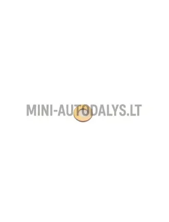 Degiklio plokštelės purkštukas Lombardini 442 / 480 / 492 DCI (1,5 mm)