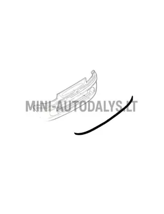 Bamperio guma Microcar Virgo (1 metras)