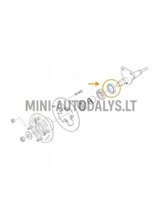 Galinės ašies sandarinimo žiedas Microcar MC1 / MC2