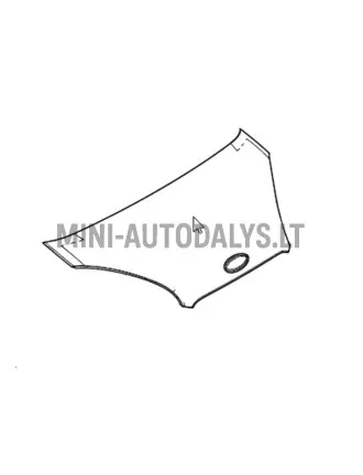 Dangtis Microcar M8