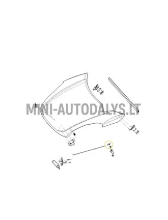 Kojų strypo gaubtas Ligier JS50 / JS50L Ph1