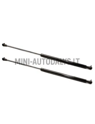 Galinių durelių amortizatorių rinkinys Ligier JS50 / JS50L