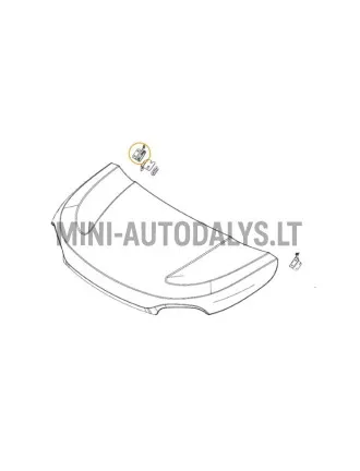 Priekinis dešinysis variklio dangčio lankstas Microcar MGO6 / Due6