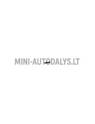 Prisegamas raktelis Ligier / Microcar / Aixam / Casalini