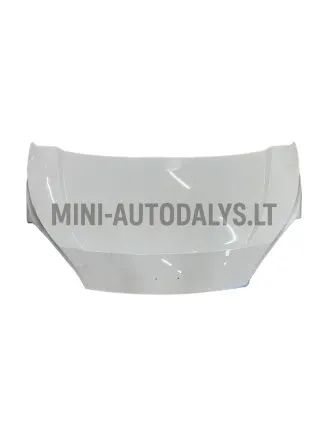 Gaubtas Ligier Flex / Microcar M.Cross