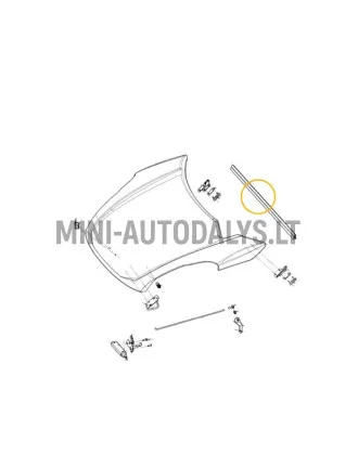Kapoto dangčio sandariklis Ligier JS50 / JS50L Ph1