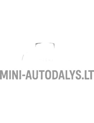 Išsiplėtimo bakelis / aušinimo skysčio rezervuaras Microcar / Ligier