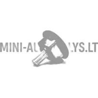 Bamperio tvirtinimas Aixam