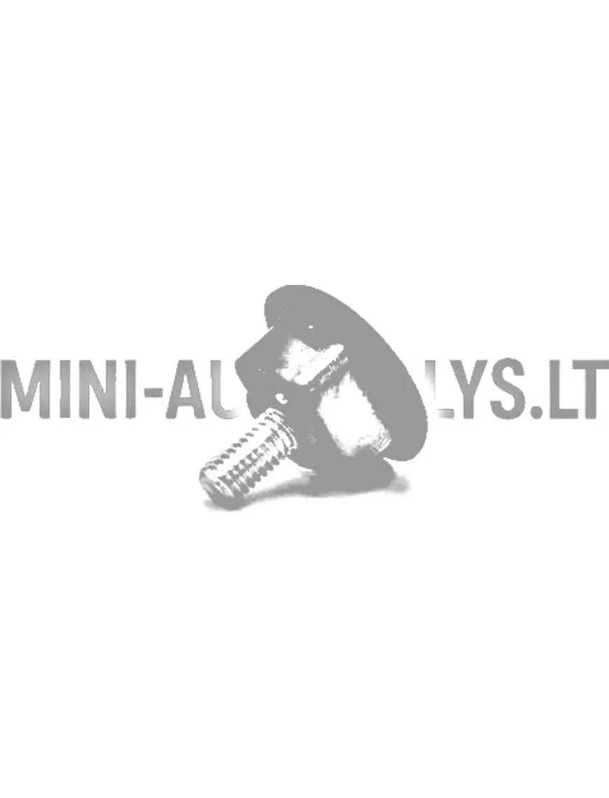Bamperio tvirtinimas Aixam