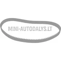 Laikrodžio paskirstymo diržas Lombardini DCI (124 dantys)