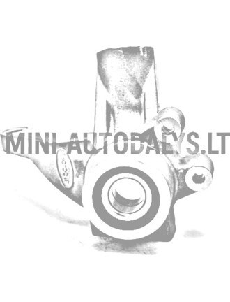 Vairo traukė + priekinio rato guolis priekinis dešinysis Microcar / Ligier