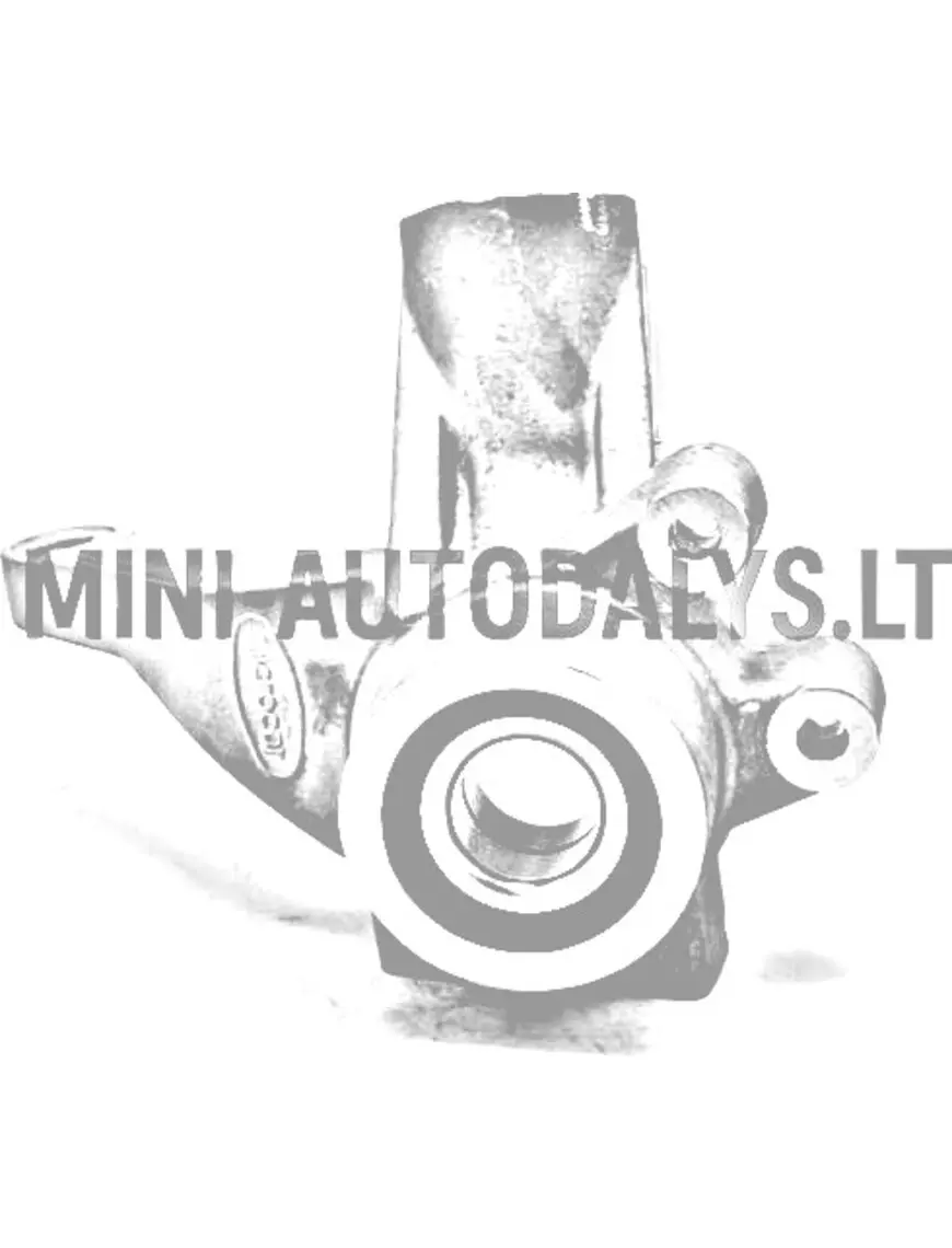 Vairo traukė + priekinio rato guolis priekinis dešinysis Microcar / Ligier