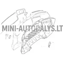 Priekinio bamperio grotelės Ligier JS50