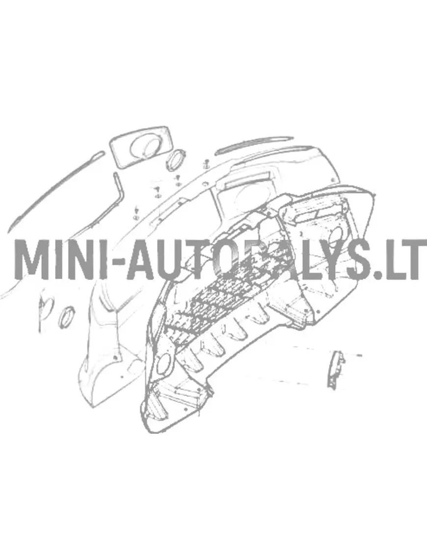 Priekinio bamperio grotelės Ligier JS50