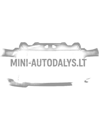 Priekinis bamperis Ligier JS50/JS50L Sport Ph2/Ph3